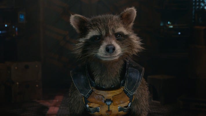 Rocket Raccoon not1