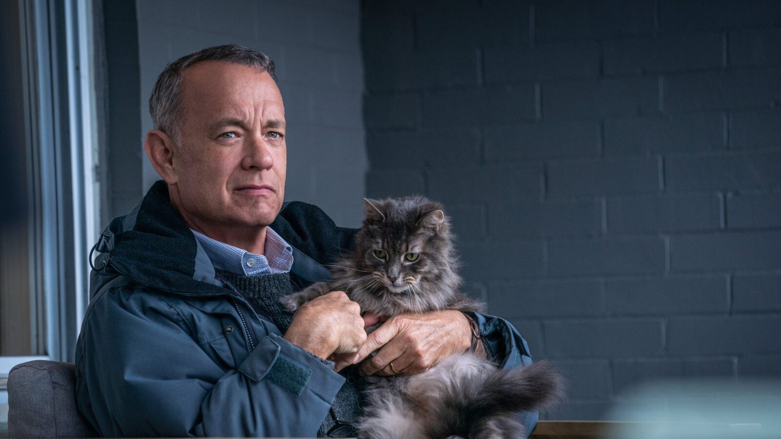 O Pior Vizinho do Mundo com Tom Hanks