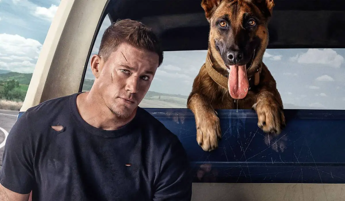 Dog - A História de uma vida é uma das estreias da HBO Max nesta semana