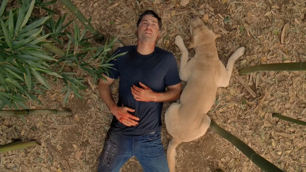 Vincent ficou na ilha de Lost